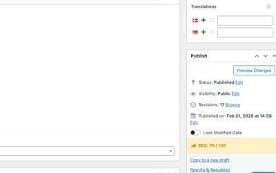 Polylang translations panel